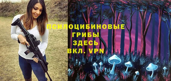 а пвп мука Армянск