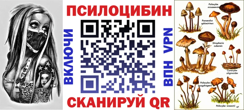 Псилоцибиновые грибы GOLDEN TEACHER  купить закладку  Шумиха 